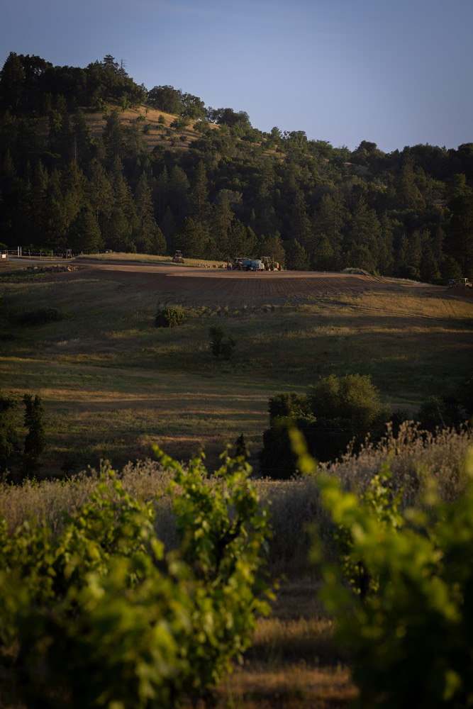Four-Ponds-Winery-Grounds-and-Construction-Hillside